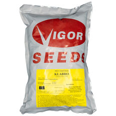Vigor Onion Klabro 250 THOUSAND